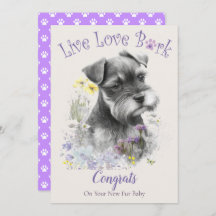 Schnauzer hondenadoptie, Gotcha-dag