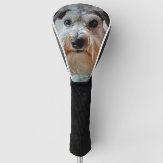 Schnauzer Hondengezicht Golfheadcover (Voorkant)