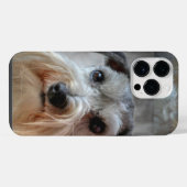 Schnauzer Hondengezicht iPhone Hoesje (Achterkant horizontaal)