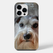 Schnauzer Hondengezicht iPhone Hoesje (Achterkant)
