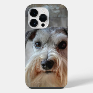 Schnauzer Hondengezicht iPhone 14 Pro Max Hoesje