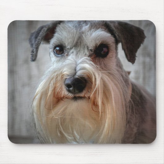 Schnauzer Hondengezicht Muismat (Voorkant)