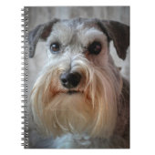 Schnauzer Hondengezicht Notitieboek (Voorkant)