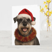 Schnauzer in a Santa hat Christmas card Kaart (Gele Bloem)