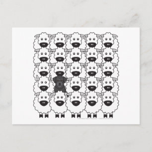 Schnauzer in de schapen briefkaart