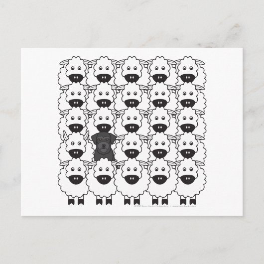 Schnauzer in de schapen briefkaart (Voorkant)