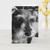 schnauzer kaart (Gele Bloem)