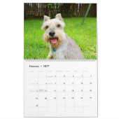 Schnauzer Kalender (Feb 2027)