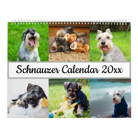 Schnauzer Kalender (Hoes)