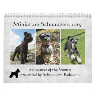 Schnauzer-kalender 2016 kalender