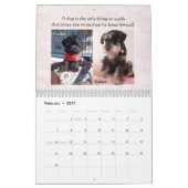 Schnauzer-kalender 2016 kalender (Feb 2027)