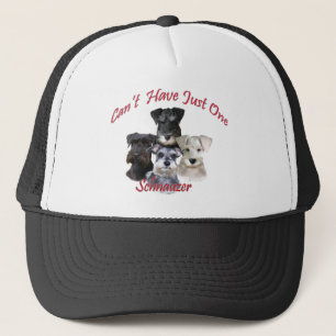 Schnauzer kan niet slechts één apper hebben trucker pet