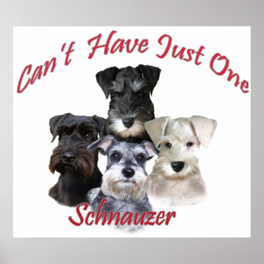 Schnauzer kan niet slechts één Print hebben (Voorkant)