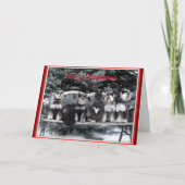 Schnauzer Kerst Kaart (Voorkant)