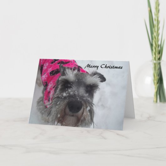 Schnauzer Kerst Kaart (Voorkant)