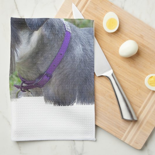 Schnauzer Kitchen Towel Theedoek (Quarter Fold)