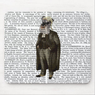 Schnauzer Lawyer Muismat