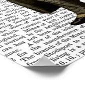 Schnauzer Lawyer Poster (Hoek)