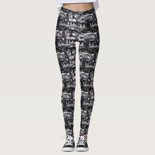 Schnauzer-Leggings Leggings (Voorkant)