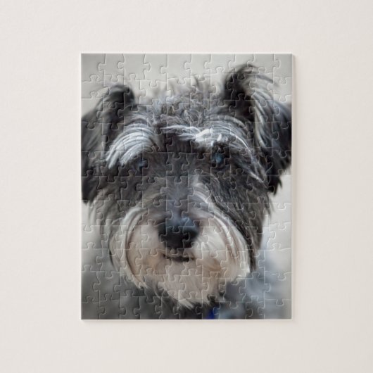 Schnauzer Legpuzzel (Verticaal)