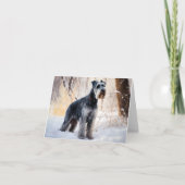 Schnauzer liet het sneeuwen Kerstmis Kaart (Voorkant)