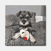 Schnauzer magneet (Voorkant)