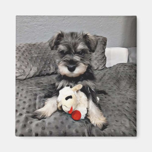 Schnauzer magneet