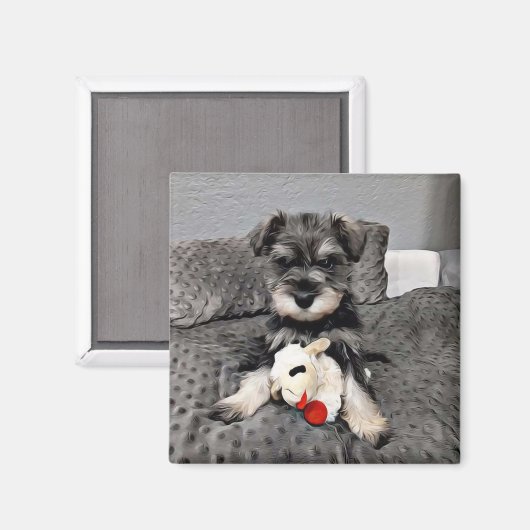 Schnauzer magnet (Voorkant / Achterkant)