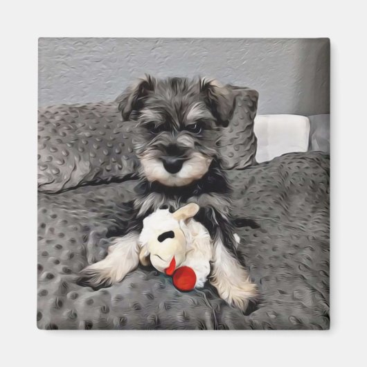Schnauzer magnet (Voorkant)