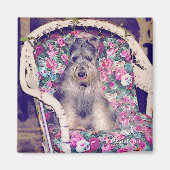 Schnauzer Magnet (Voorkant)