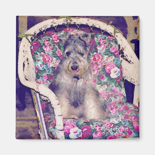 Schnauzer Magnet (Voorkant)