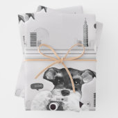 Schnauzer met camera inpakpapier vel (In situ)