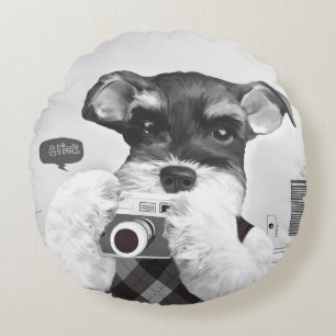 Schnauzer met camera rond kussen