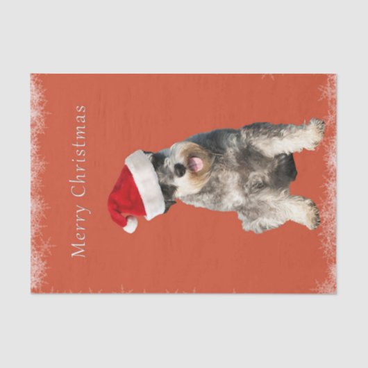 Schnauzer met kerstpet tissuepapier (Voorkant)