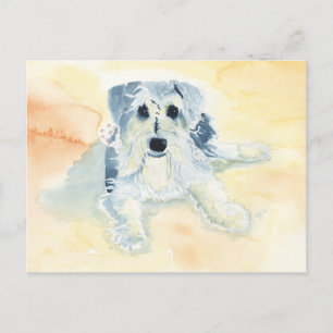 Schnauzer Mia Briefkaart