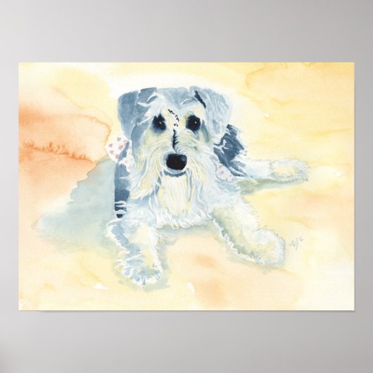 Schnauzer Mia Poster (Voorkant)