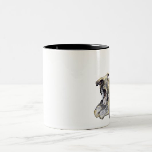 Schnauzer - Mok (Center)