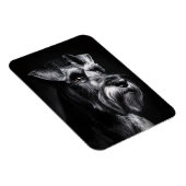 Schnauzer Monochrome Portrait Flexible Magneet (Rechterzijde)