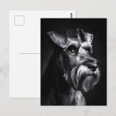 Schnauzer Monochroom Portret Briefkaart (Voorkant / Achterkant)