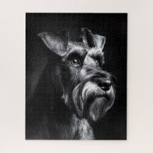 Schnauzer monochroom portret