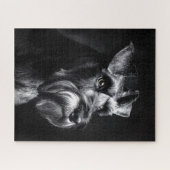 Schnauzer monochroom portret legpuzzel (Horizontaal)