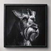 Schnauzer Monochroom Portret
