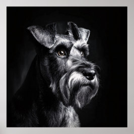 Schnauzer Monochroom Portret Poster