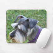 Schnauzer-Muismat Muismat (Met muis)