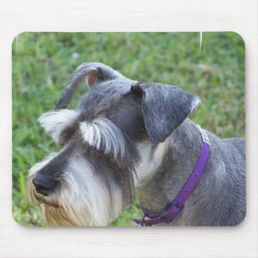 Schnauzer-Muismat Muismat (Voorkant)