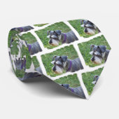 Schnauzer Necktie Stropdas (Opgerold)