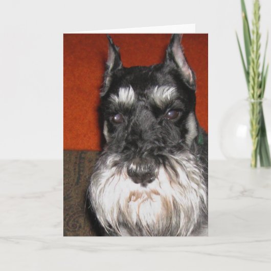 Schnauzer Note Kaart (Voorkant)