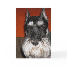Schnauzer Note Kaart