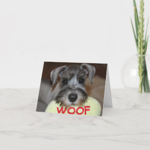 Schnauzer Notecards Kaart