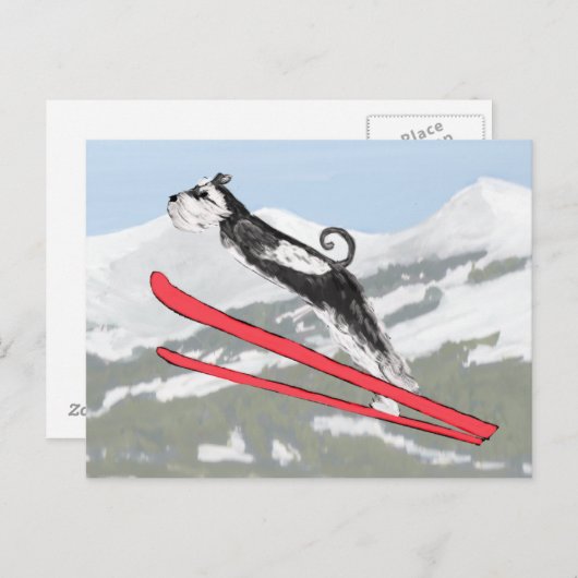 Schnauzer op Skis. Briefkaart (Voorkant / Achterkant)